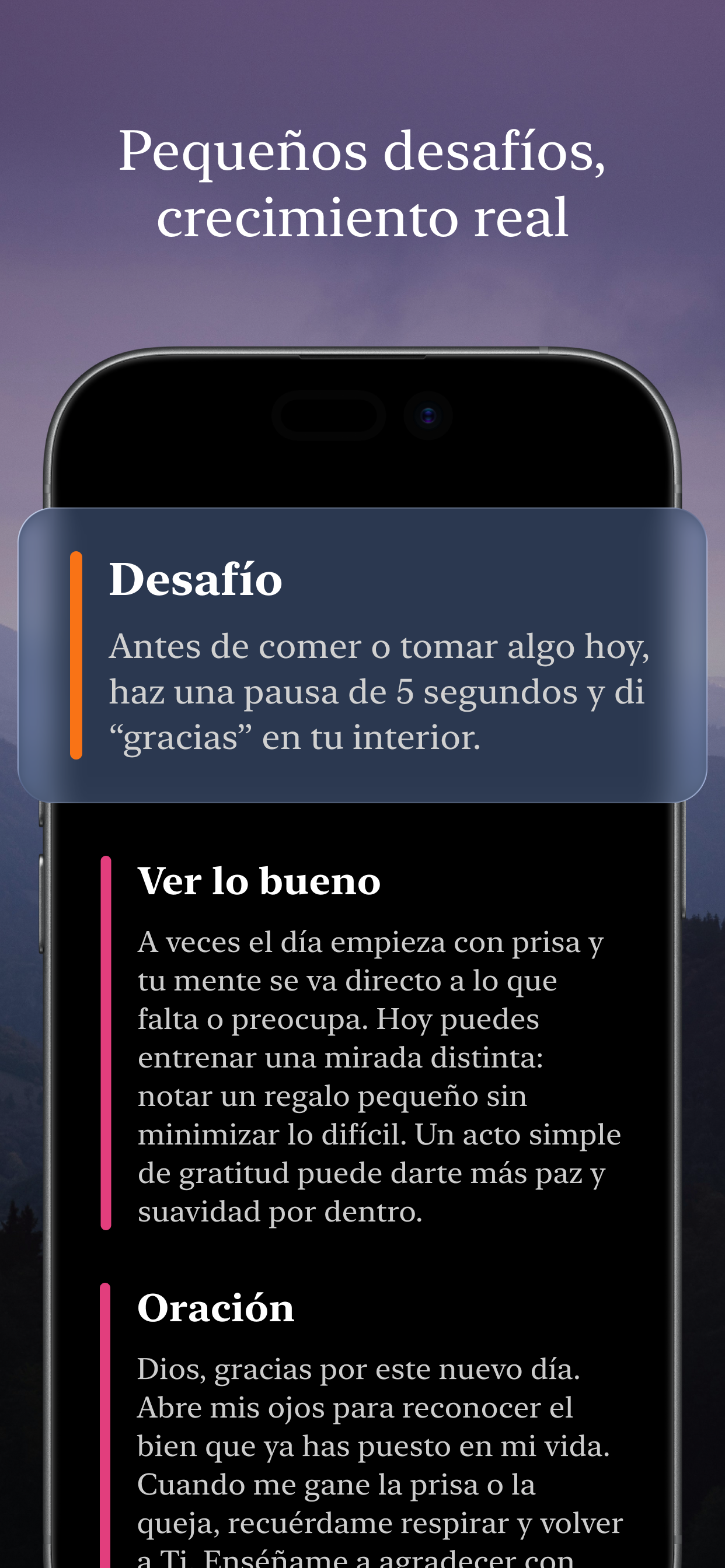 Vista 6